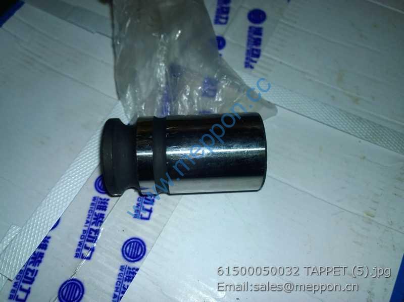 61500050032 TAPPET SP101971 4110000556171