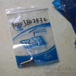 90003802432 WEICHAI SCREW