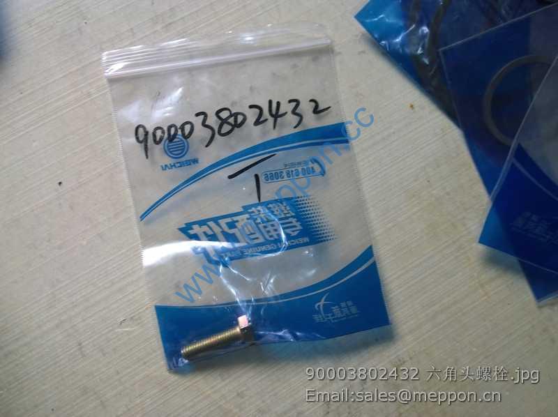 90003802432 WEICHAI SCREW