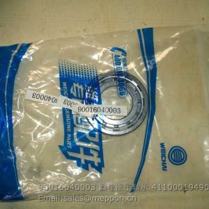 90016040003 WEICHAI BEARING 4110001949041