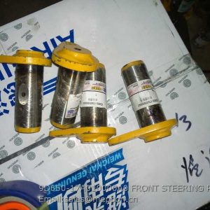 9D650-17A010000A0 FRONT STEERING PIN FOTON