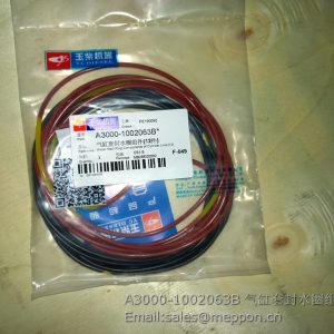 A3000-1002063B YUCHAI CYLINDER SEAL RING