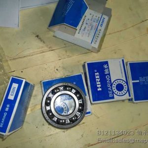 B121134023 SEM BEARING