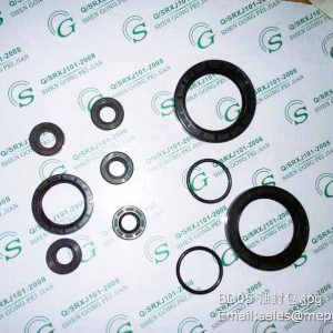 BD05 BYD2205 TRANSMISSION OIL SEAL KITS FOR ZL10 ZL20 WHEEL LOADER