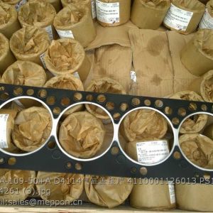 D02A-109-50+A D4114 HEAD GASKET 4110001126013 PS10694 10A4261