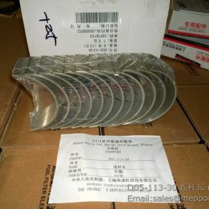 D05-113-30 ROD BEARING SHANGCHAI