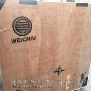 DHB06G0096X01 WP6G125E22 ENGINE AS WEICHAI
