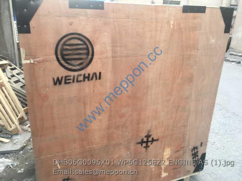 DHB06G0096X01 WP6G125E22 ENGINE AS WEICHAI