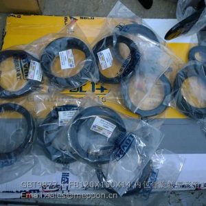 GBT9877.1-FB120X150X14 FOTON LOVOL OIL SEAL
