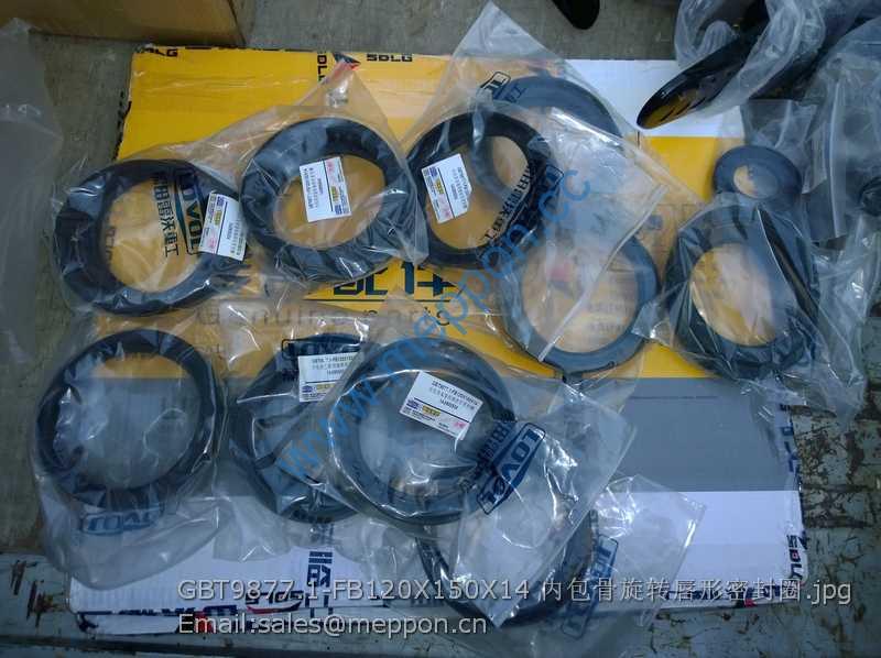 GBT9877.1-FB120X150X14 FOTON LOVOL OIL SEAL