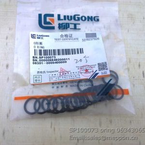 0634306523 SP100073 o-ring ZF