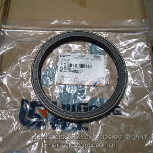 SP100215 ZF 0734309422 oil seal