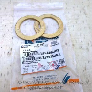 4061310164 SP100303 TRUST WASHER ZF