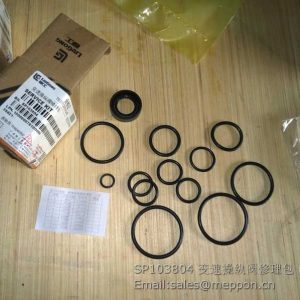SP103804 LIUGONG REPAIR KITS