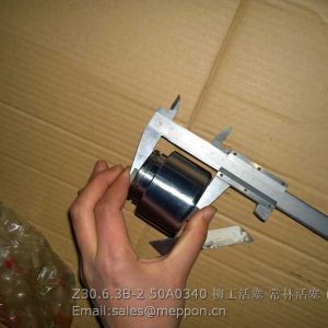 Z30.6.3B-2 50A0340 BRAKE PISTON