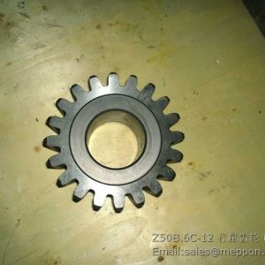Z50B.6C-12 CHANGLIN PLANET GEAR