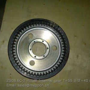 Z50B.6C-2 Internal gear CHANGLIN