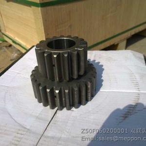 Z50F060200001 CHENGGONG GEAR
