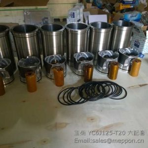YC6J125-T20 YUCHAI PISTON GROUP