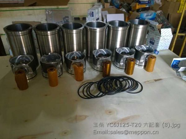 YC6J125-T20 YUCHAI PISTON GROUP