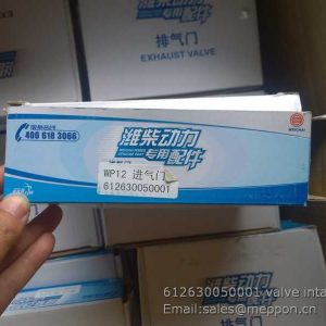 612630050001 valve intake weichai ZJ4110001050033 4110002244045