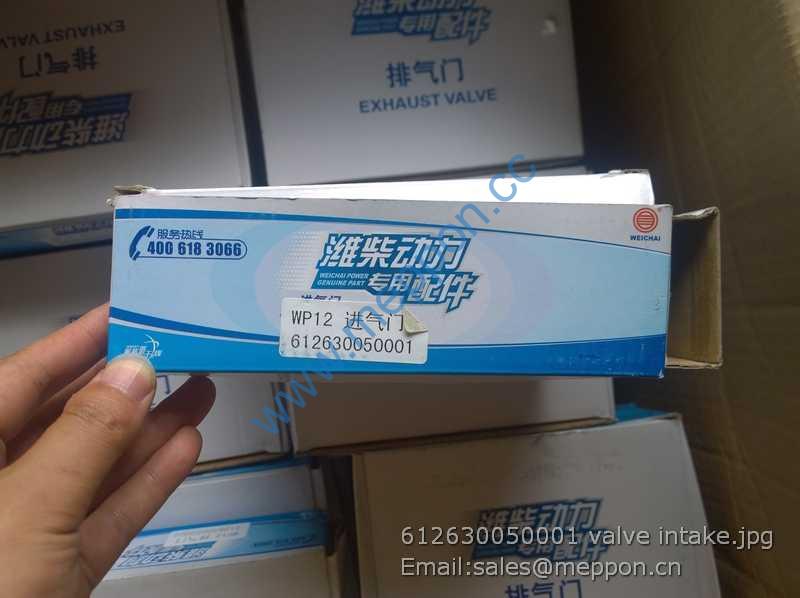 612630050001 valve intake weichai ZJ4110001050033 4110002244045