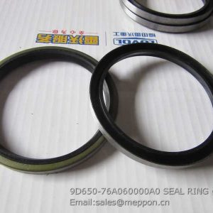 9D650-76A060000A0 SEAL RING