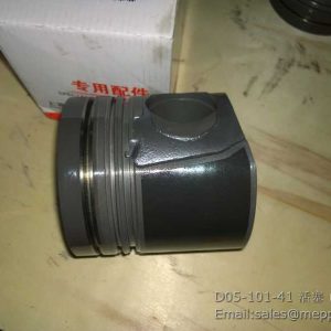 D05-101-41 piston W47008115 860113151