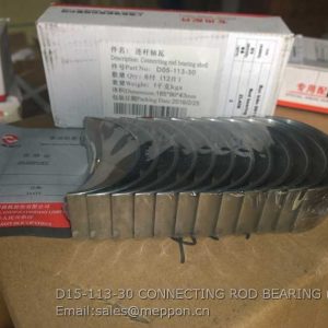 D05-113-30 CONNECTING ROD BEARING SP101409 4110000997281 D05-113-31