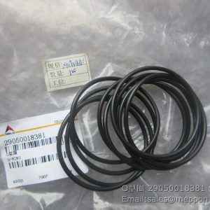 29050018381 SDLG ORING