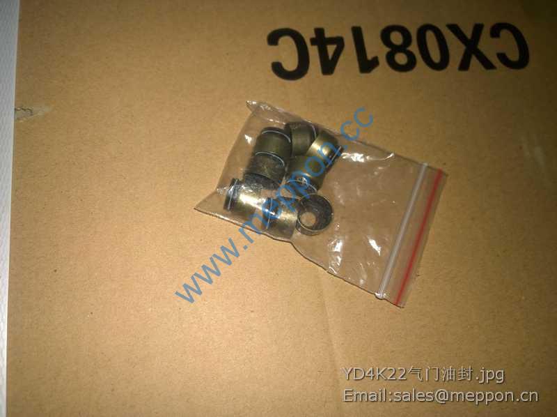 YANGDONG YD4K22 VALVE SEAL