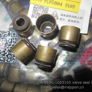 m6600-1003105 valve seal