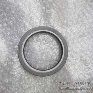 12188100 FRONT OIL SEAL WEICHAI W010250330 SP105398 4110000054100