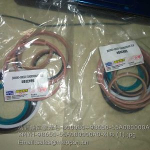 B00080+9B650-55A080000A0-XLB XMYH-9B650-55A080000A0-XLB LIFT CYLINDER REPAIR KITS