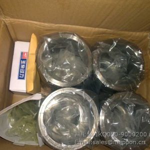 1KQ000-9000200 YUCHAI CYLINDER KITS