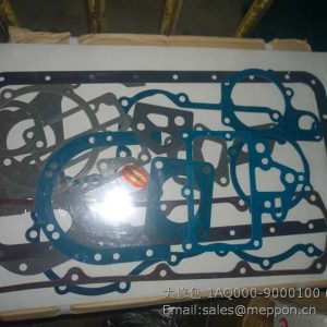 1AQ000-9000100 YUCHAI REPAIR KITS