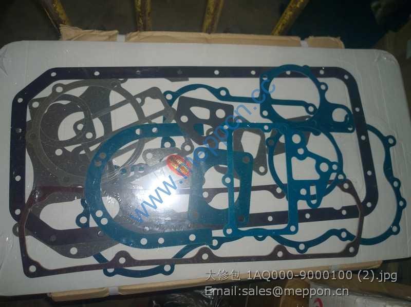 1AQ000-9000100 YUCHAI REPAIR KITS