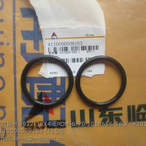 1013656-56D 4201462 4110000509193 SDLG SEAL RING