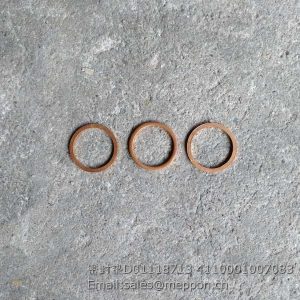 D01118713 4110001007083 washer SDLG