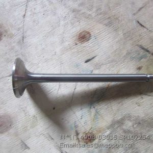 490B-03015 SP107254 VALVE EXHAUST