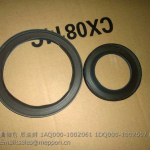 1AQ000-1002061 1DQ000-1002502 YUCHAI CRANKSHAFT OIL SEAL