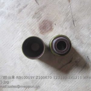 R010019Y Z100670 123180-241211 WF4105 VALVE SEAL YTO