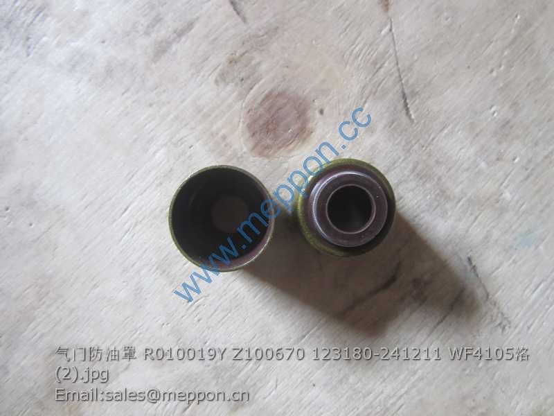 R010019Y Z100670 123180-241211 WF4105 VALVE SEAL YTO