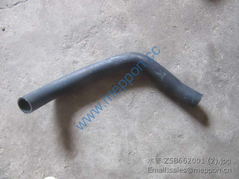 Z5B662001 HOSE SEM