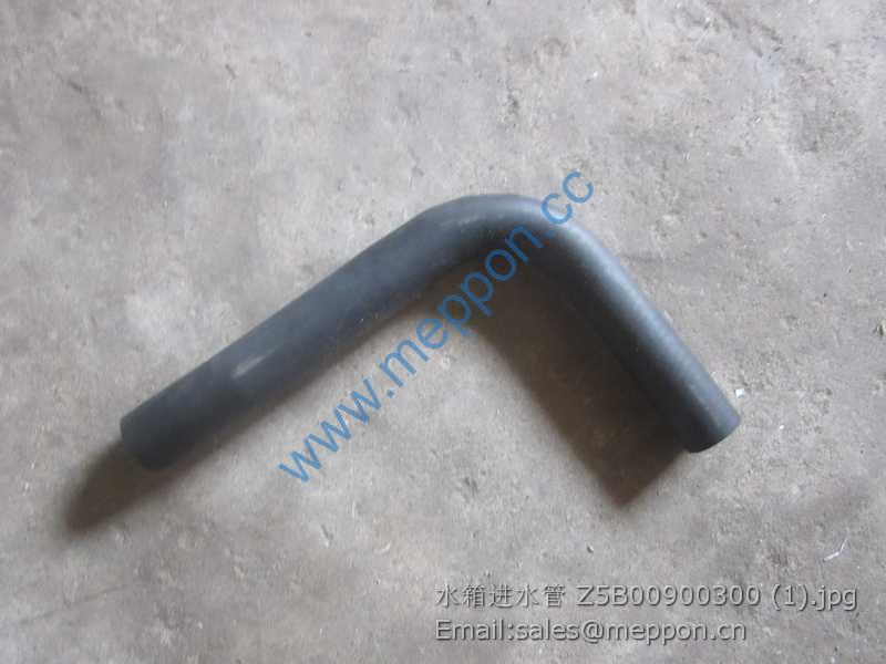 Z5B00900300 SEM HOSE