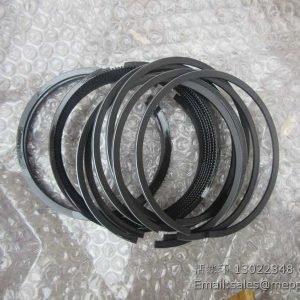 13022348 WEICHAI PISTON