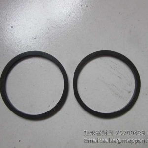 075700439 ZF SEAL RING