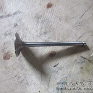490B-03014 valve intake xinchai