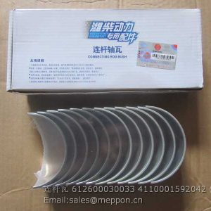 612600030033 4110001592042 WEICHAI ROD BEARING