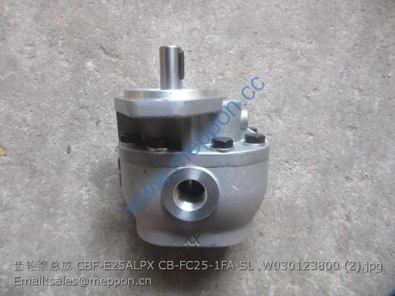 CBF-E25ALPX CB-FC25-1FA-SL W030123800 gear pump shantui sem